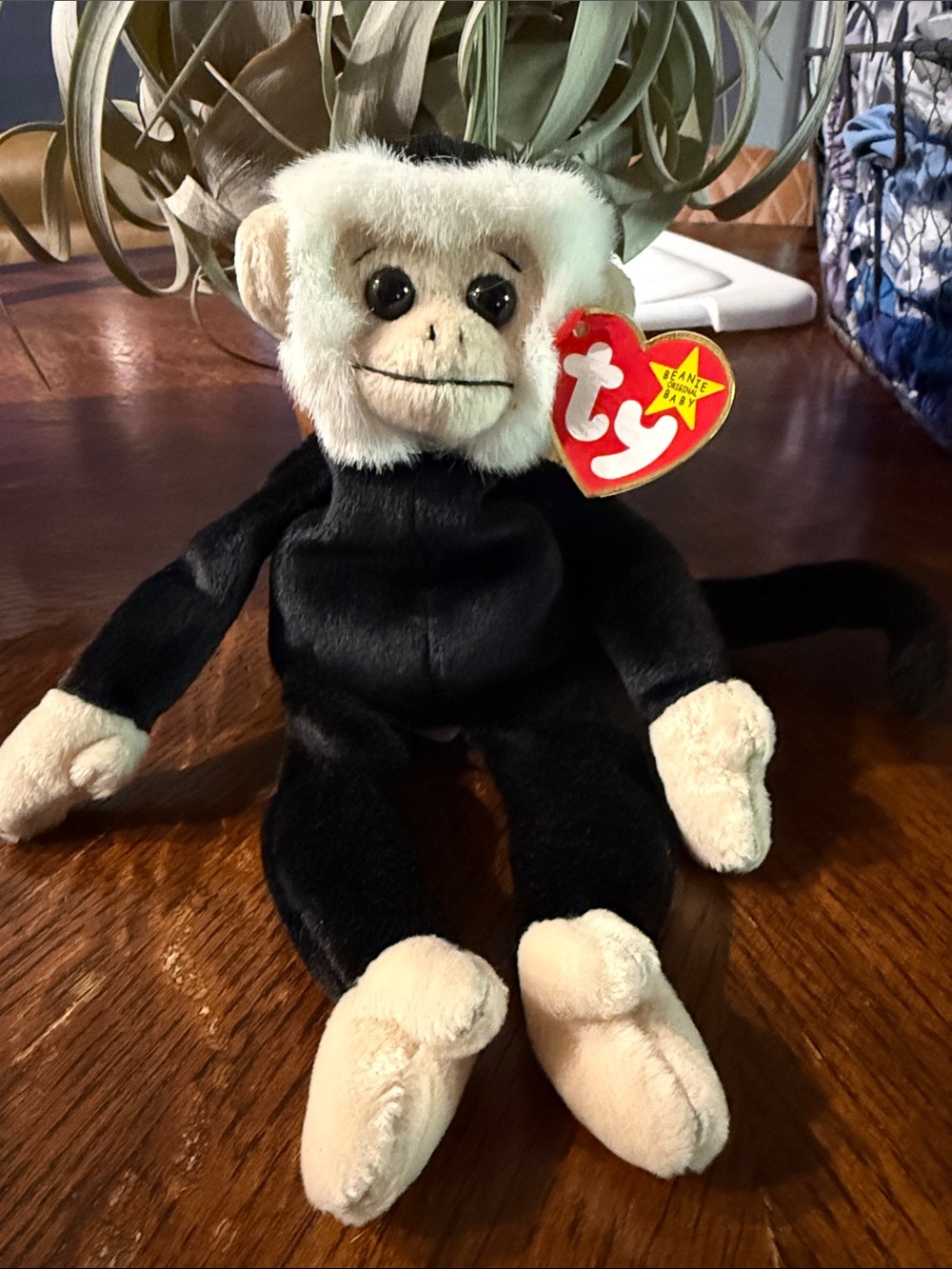 Ty Plush Monkey - Black & Cream Beanie Baby with Heart Tag